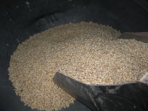 浸漬タンクから蒸し釜へ 浸漬タンクから蒸し釜へ