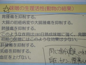 これがレポートです。 これがレポートです。