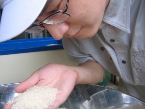 お米やお味噌って不思議だ…。 お米やお味噌って不思議だ…。