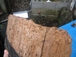 以前の桶の上部 以前の桶の上部