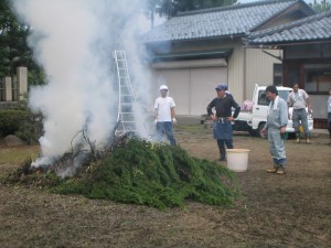 集めた枝は燃やしていきます。 集めた枝は燃やしていきます。