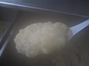 糖化していくと、米がだんだんと柔らかくなります。