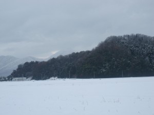 正月は雪が積もりました。