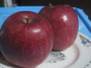 木村さんのリンゴ