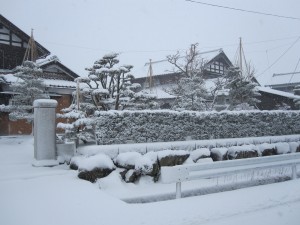 雪景色。 雪景色。