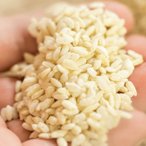 不耕起・自然栽培米を手作りで麹にしました